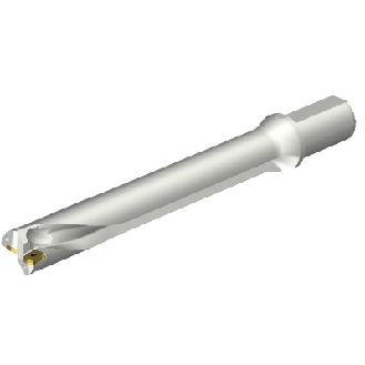 Punta a inserti foratura DS20-D3900L40-07-Leggi tutto