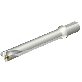 Punta a inserti foratura DS20-D3800L40-07-Leggi tutto