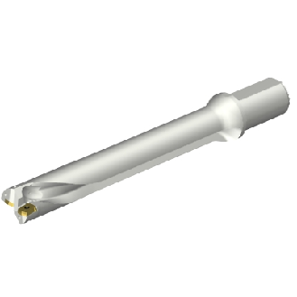 Punta a inserti foratura DS20-D3700L40-07-Leggi tutto