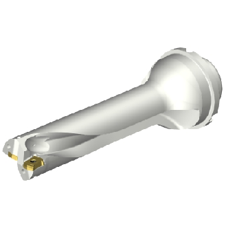 Punta a inserti foratura DS20-D3300DM40-04-Leggi tutto