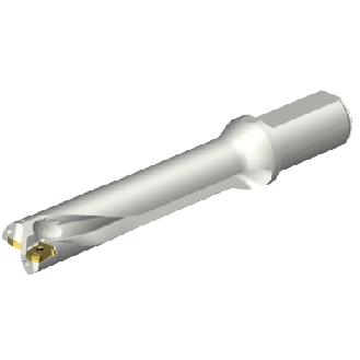 Punta a inserti foratura DS20-D2900L32-05-Leggi tutto