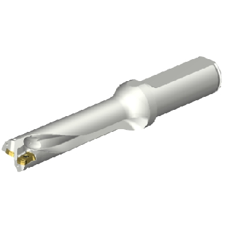 Punta a inserti foratura DS20-D1700L20-04-Leggi tutto
