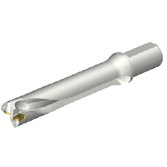Punta a inserti foratura DS20-D4000L40-05-Leggi tutto