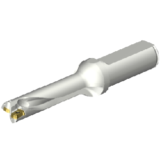 Punta a inserti foratura DS20-D1500L20-04-Leggi tutto