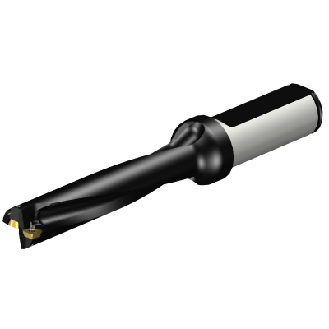Punta a inserti foratura 880-D1600L20-05-Leggi tutto