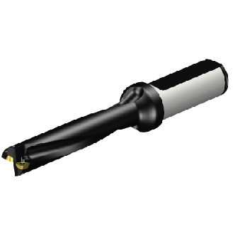 880-D1550L20-05 Punta a inserti foratura-Leggi tutto