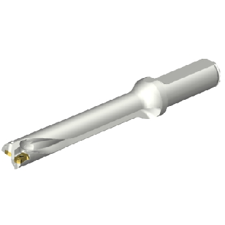 Punta a inserti foratura DS20-D1666LX19-06-Leggi tutto