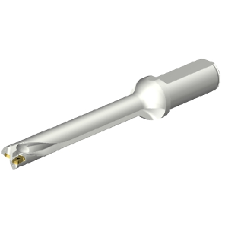 Punta a inserti foratura DS20-D1745LX25-07-Leggi tutto