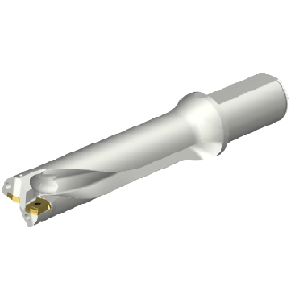 Punta a inserti foratura DS20-D3810LX38-04-Leggi tutto