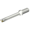 Punta a inserti foratura DS20-D1905LX25-07
