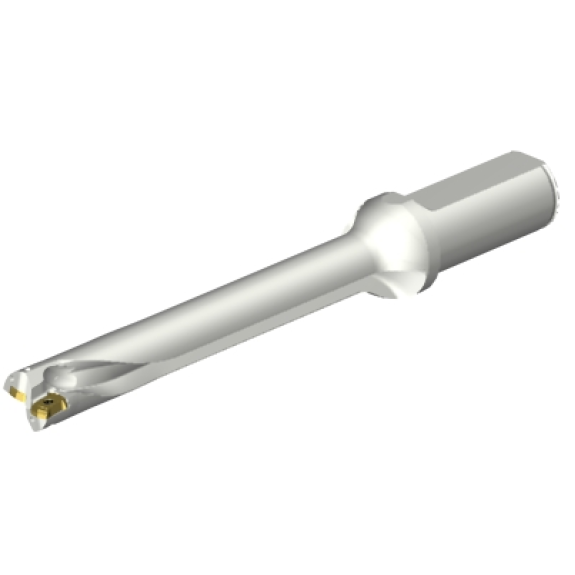 Punta a inserti foratura DS20-D1905LX25-07-Leggi tutto