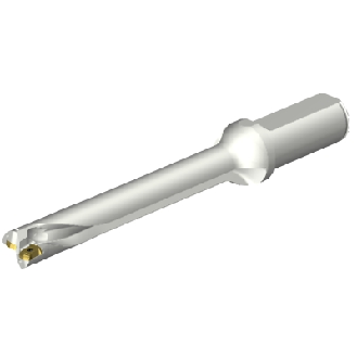 Punta a inserti foratura DS20-D1905LX25-07-Leggi tutto
