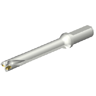 Punta a inserti foratura DS20-D1700L20-07-Leggi tutto