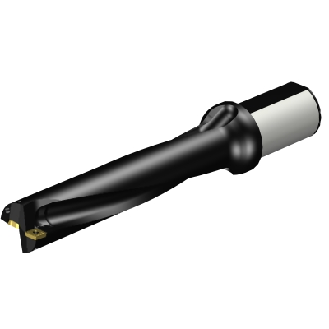 880-D4300L50-05 Punta a inserti foratura-Leggi tutto