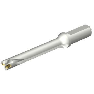 Punta a inserti foratura DS20-D1500L20-07-Leggi tutto