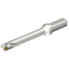 Punta a inserti foratura DS20-D1600L20-07