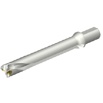 Punta a inserti foratura DS20-D3810LX38-07-Leggi tutto