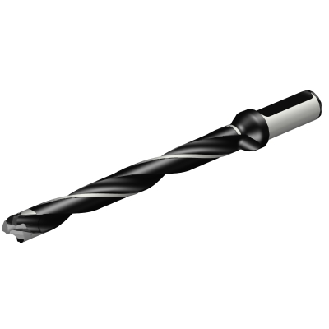 870-1700-17LX075-10 Punta a cuspide foratura-Leggi tutto