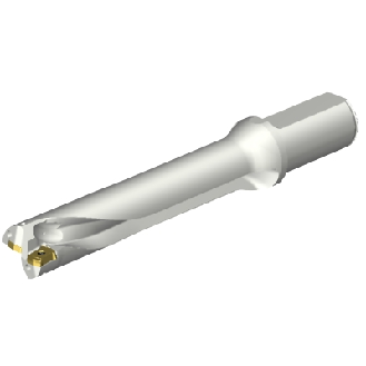 Punta a inserti foratura DS20-D3015LX31-05-Leggi tutto