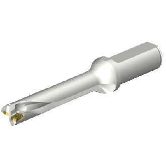 Punta a inserti foratura DS20-D1905LX25-05-Leggi tutto