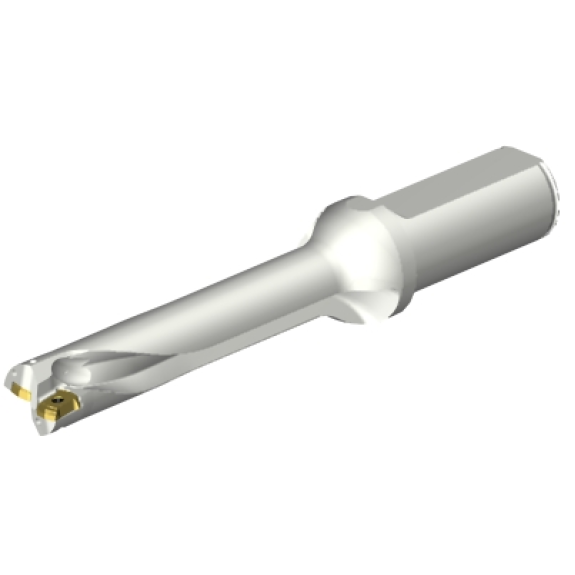 Punta a inserti foratura DS20-D1905LX25-05-Leggi tutto