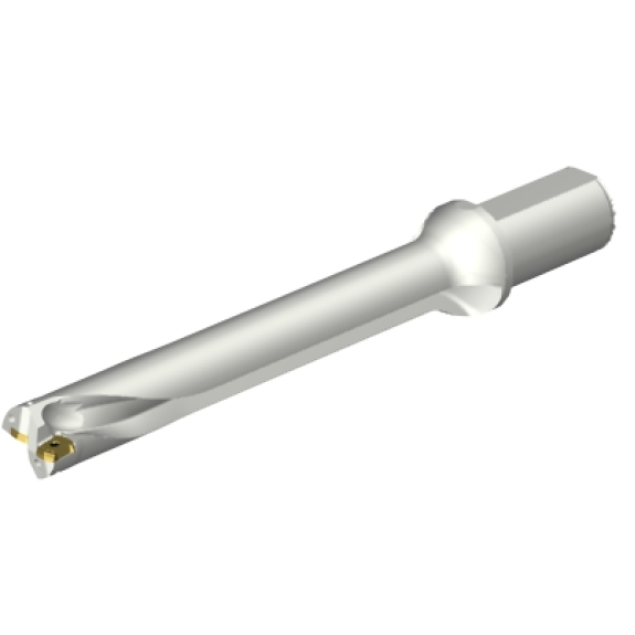 Punta a inserti foratura DS20-D3175LX38-07-Leggi tutto