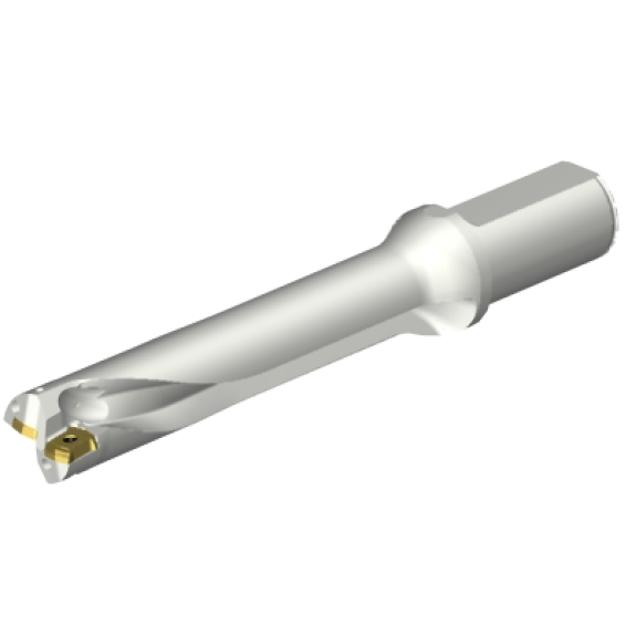 Punta a inserti foratura DS20-D2858LX31-05-Leggi tutto