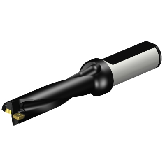 Punta a inserti foratura 880-D1700L20-04-Leggi tutto