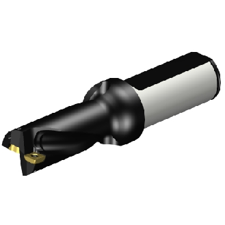 880-D2300L25-02 Punta a inserti foratura-Leggi tutto