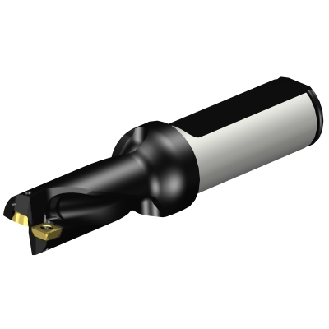 Punta a inserti foratura 880-D1700L20-02-Leggi tutto