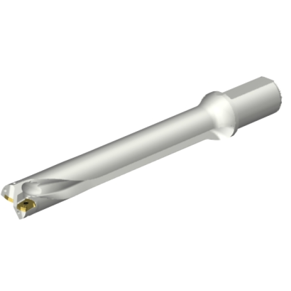 Punta a inserti foratura DS20-D3600L40-07 Punta a inserti foratura DS20-D3600L40-07-Leggi tutto