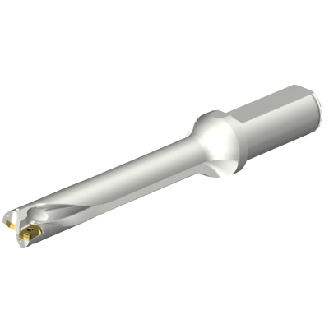 Punta a inserti foratura DS20-D1900L25-06-Leggi tutto