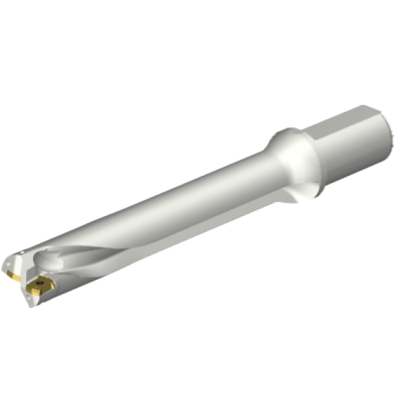 Punta a inserti foratura DS20-D3600L40-06 Punta a inserti foratura DS20-D3600L40-06-Leggi tutto