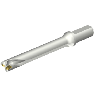 Punta a inserti foratura DS20-D2300L25-07-Leggi tutto