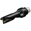 Punta a inserti foratura 880-D4300C5-03M1