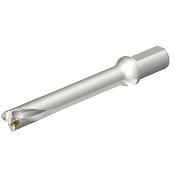 Punta a inserti foratura DS20-D2697LX31-07-Leggi tutto