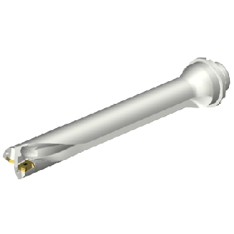 Punta a inserti foratura DS20-D3100DM32-07-Leggi tutto