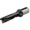 Punta a inserti foratura 880-D4200L50-04