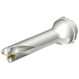 Punta a inserti foratura DS20-D3400DM40-04-Leggi tutto
