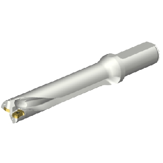 Punta a inserti foratura DS20-D2500L25-05-Leggi tutto