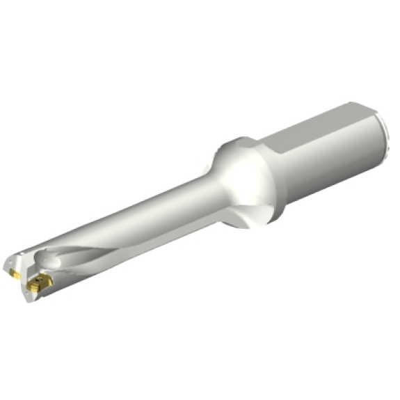 Punta a inserti foratura DS20-D1800L25-05-Leggi tutto