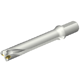 Punta a inserti foratura DS20-D3800L40-06-Leggi tutto