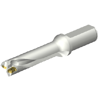 Punta a inserti foratura DS20-D2223LX25-04-Leggi tutto