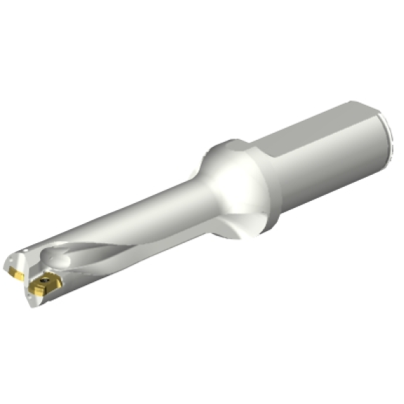 Punta a inserti foratura DS20-D1900L25-04 Punta a inserti foratura DS20-D1900L25-04-Leggi tutto