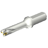 Punta a inserti foratura DS20-D1900L25-04
