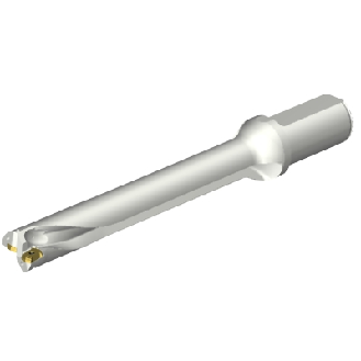 Punta a inserti foratura DS20-D2800L32-07-Leggi tutto