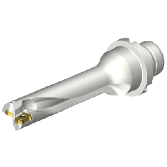 Punta a inserti foratura DS20-D1588DM20-04-Leggi tutto