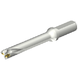 Punta a inserti foratura DS20-D1700L20-06-Leggi tutto