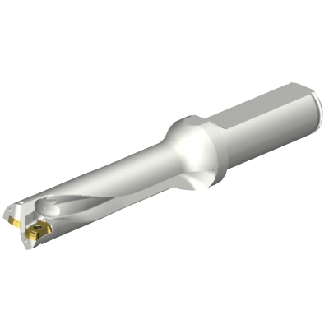 Punta a inserti foratura DS20-D1666LX19-04-Leggi tutto