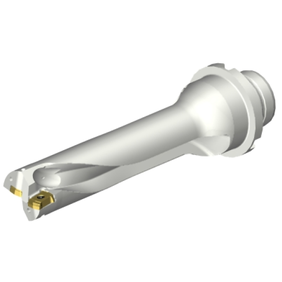 Punta a inserti foratura DS20-D2200DM25-04 Punta a inserti foratura DS20-D2200DM25-04-Leggi tutto